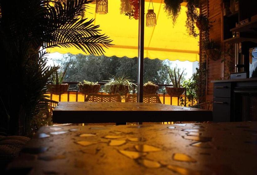 بنسيون Rosie S Club