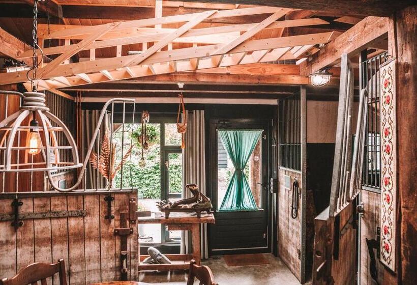 Общежитие Crash Nstay Paardenstal