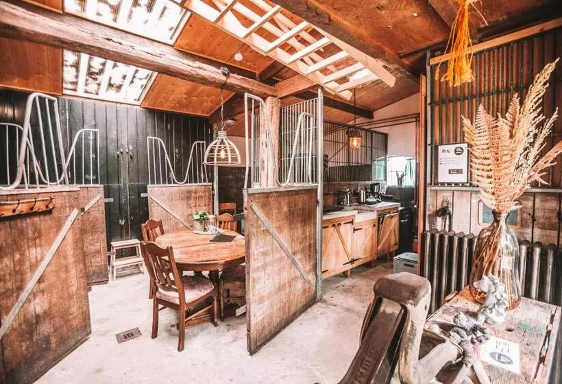 Retkeilymaja Crash Nstay   Paardenstal