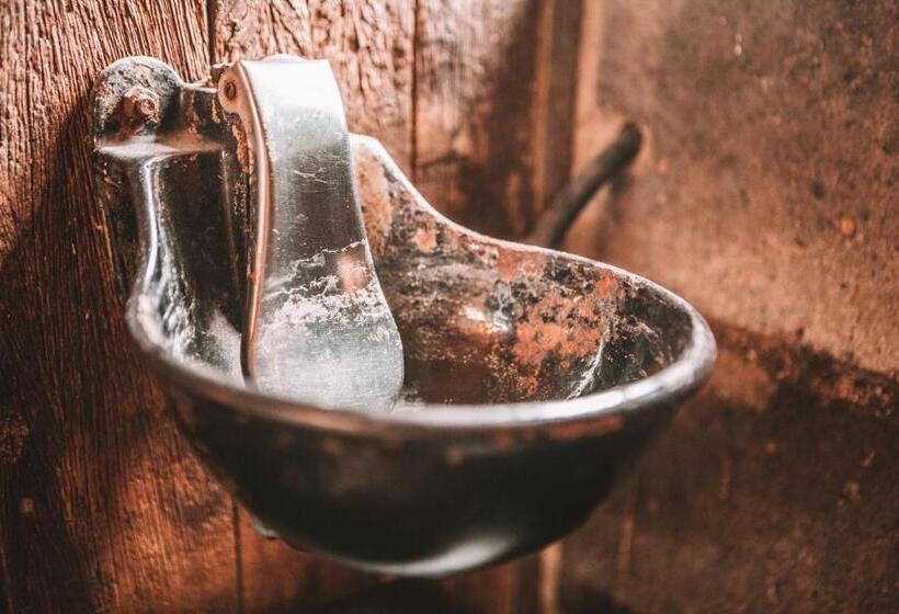 Общежитие Crash Nstay Paardenstal