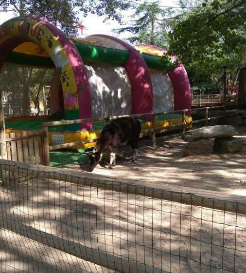 住宿加早餐 Le Nid Castries Charmant Logement Complet Et équipé Centre Castries Proche Montpellier