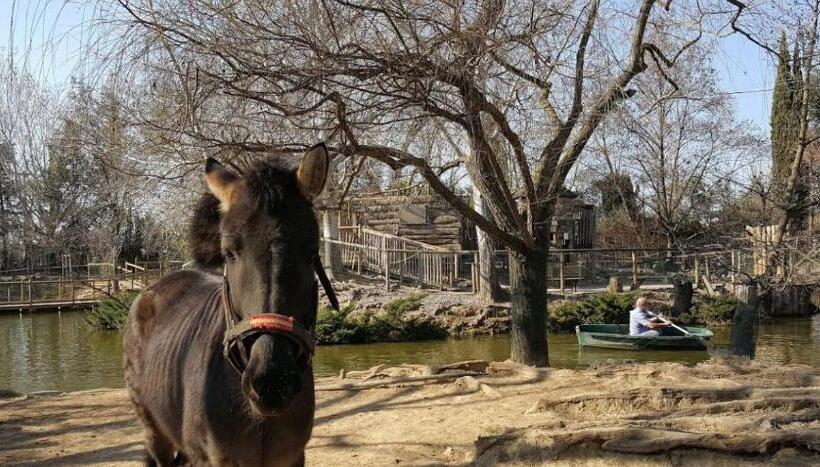 住宿加早餐 Le Nid Castries Charmant Logement Complet Et équipé Centre Castries Proche Montpellier