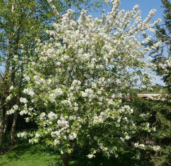 ベッドアンドブレックファースト Opale Des Caps