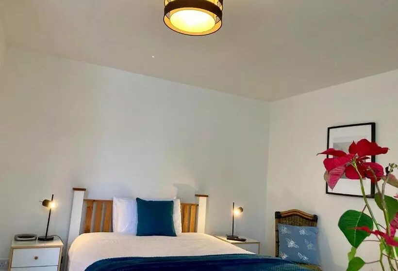 ペンション Jersey Villa Guest House