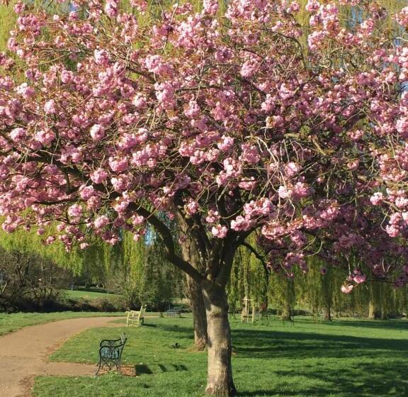 Pensjonat Jersey Villa Guest House