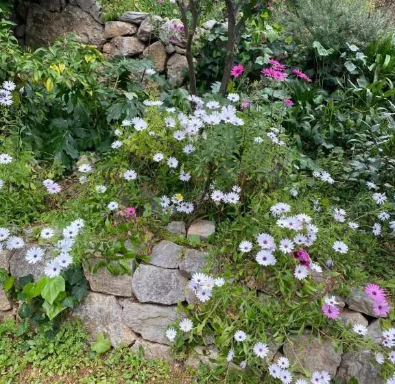 Aamiaismajoitus (B&B) Chambre Spacieuse Indépendante Dans Villa Plus Parking Privée