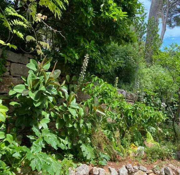 Aamiaismajoitus (B&B) Chambre Spacieuse Indépendante Dans Villa Plus Parking Privée