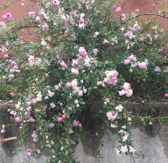 민박 Chambre Spacieuse Indépendante Dans Villa Plus Parking Privée