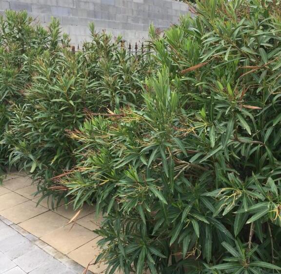 민박 Chambre Spacieuse Indépendante Dans Villa Plus Parking Privée