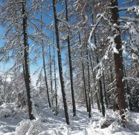 Aamiaismajoitus (B&B) Katsoleil