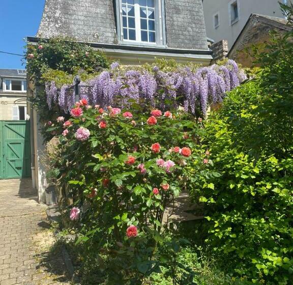پانسیون 2 Chambres, 4 A 6 Voyageurs En Centre Ville, à 5 Mins Du Zoo