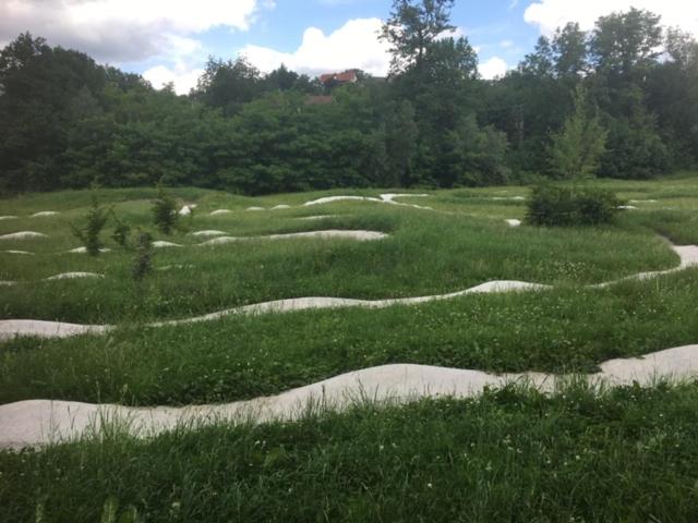 Pensão Ferienwohnungen Schäfer