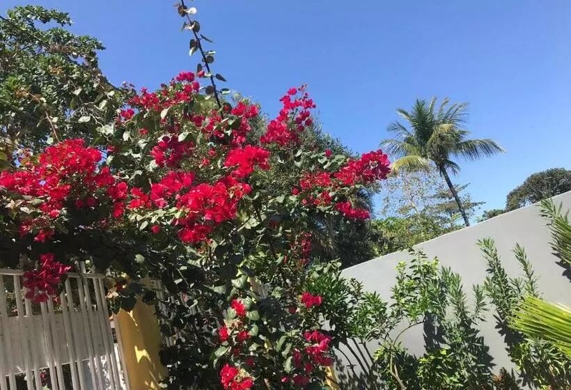 ペンション Pousada Flor Do Arraial
