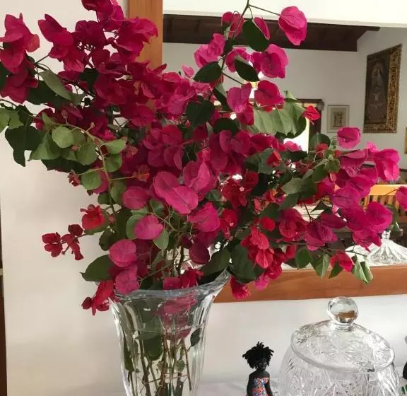 ペンション Pousada Flor Do Arraial