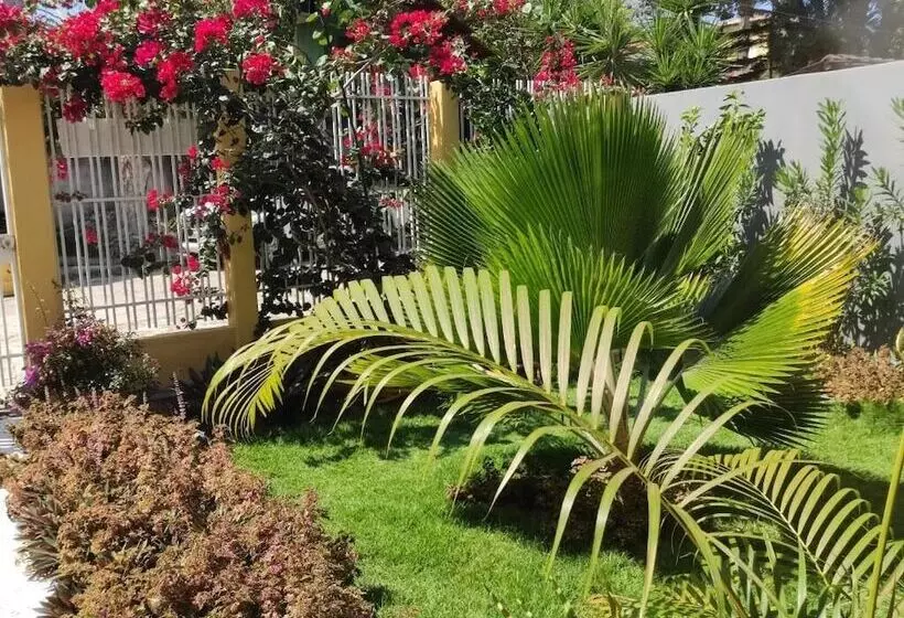 ペンション Pousada Flor Do Arraial