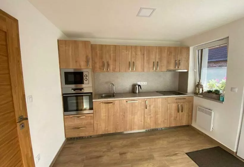 ペンション Rodinný Penzion Kohoutek