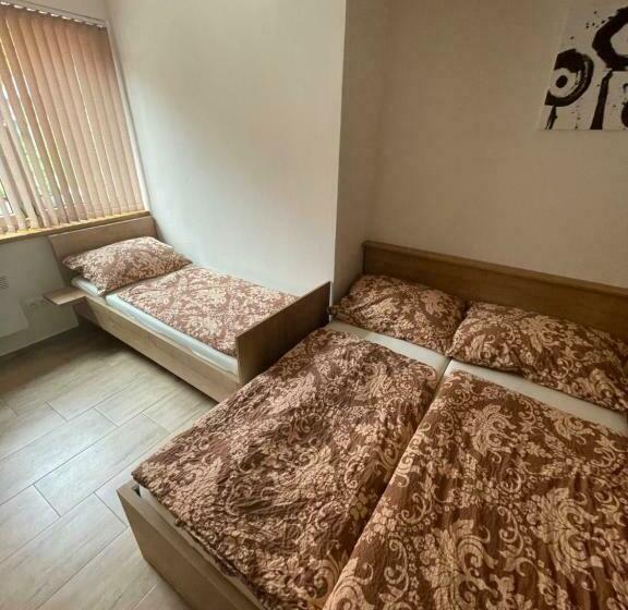 Пансион Rodinný Penzion Kohoutek