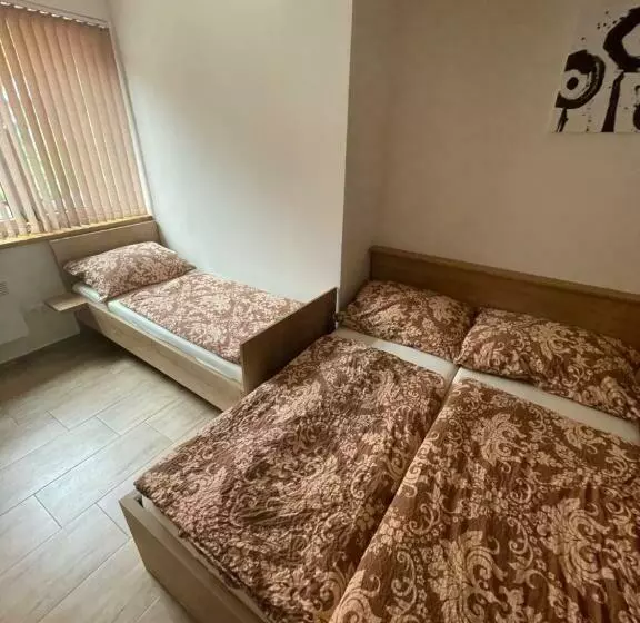 ペンション Rodinný Penzion Kohoutek