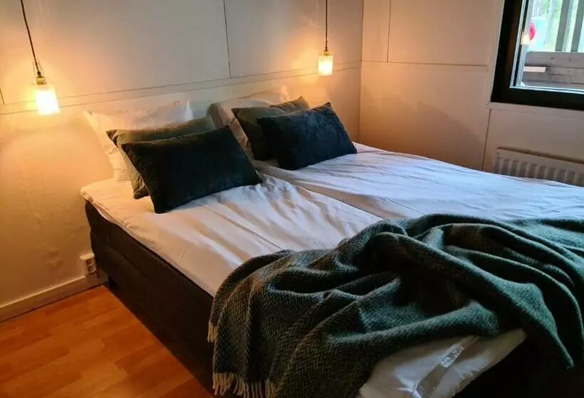 Silver Fox Hostel