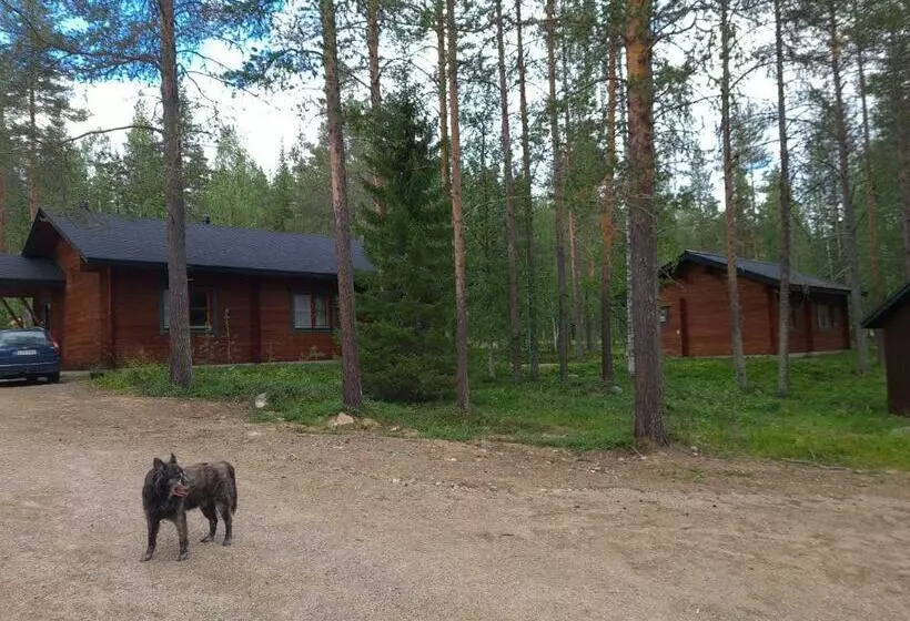 Silver Fox Hostel