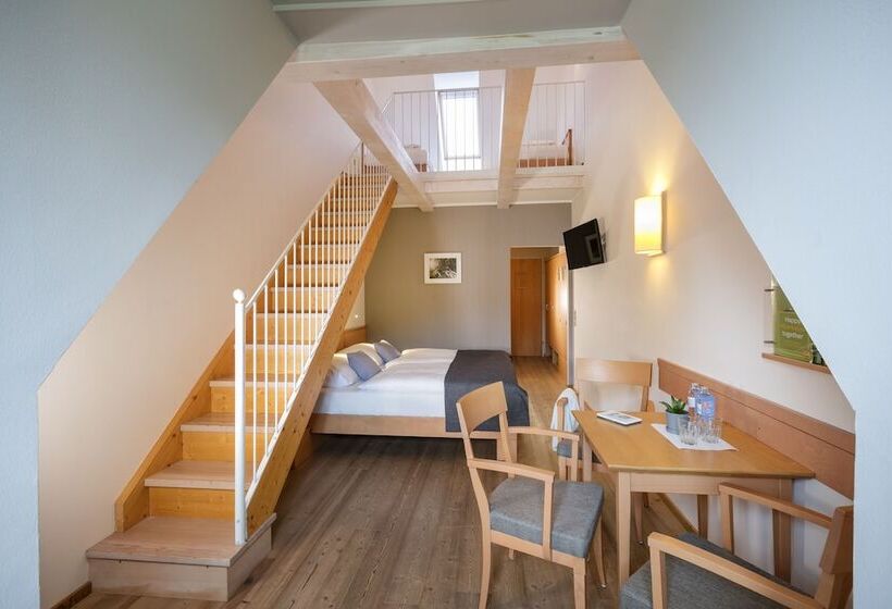 旅馆 Jufa Hotel Schloss Röthelstein