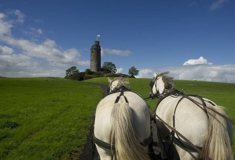 호텔 Ballyfin Demesne