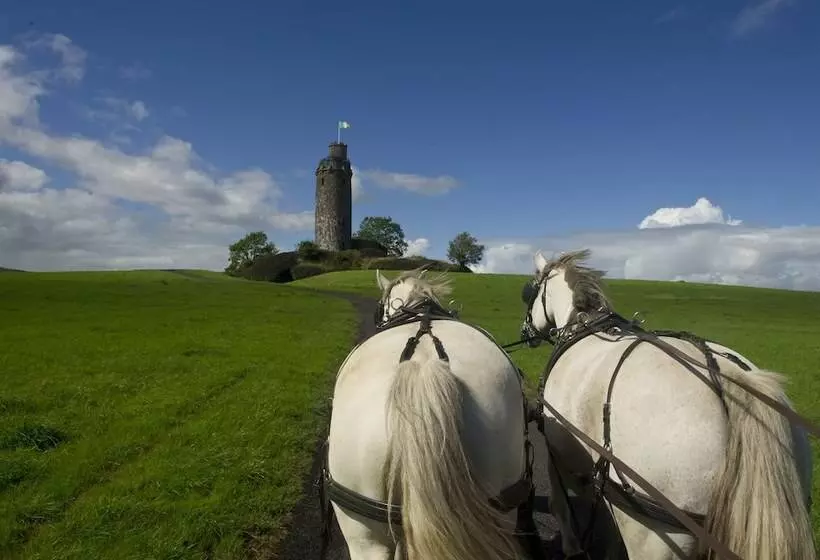 فندق Ballyfin Demesne