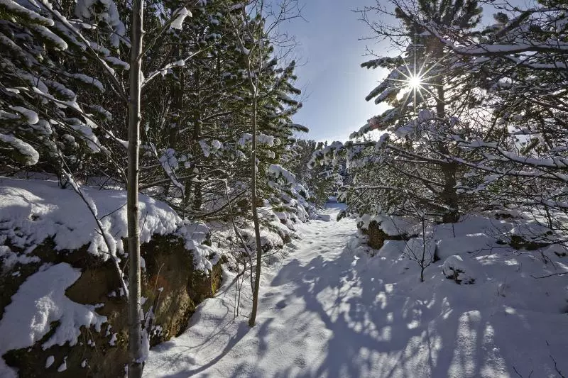 Reykjavik Natura   Berjaya Iceland Hotels