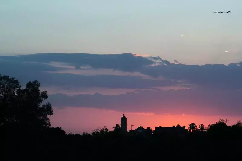 Сельский отель Ardea Purpurea