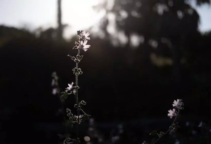 渡假胜地  Quinta Do Mar  Country & Sea Village