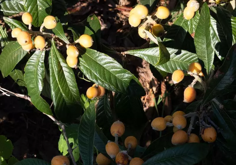 渡假胜地  Quinta Do Mar  Country & Sea Village