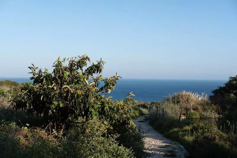 渡假胜地  Quinta Do Mar  Country & Sea Village