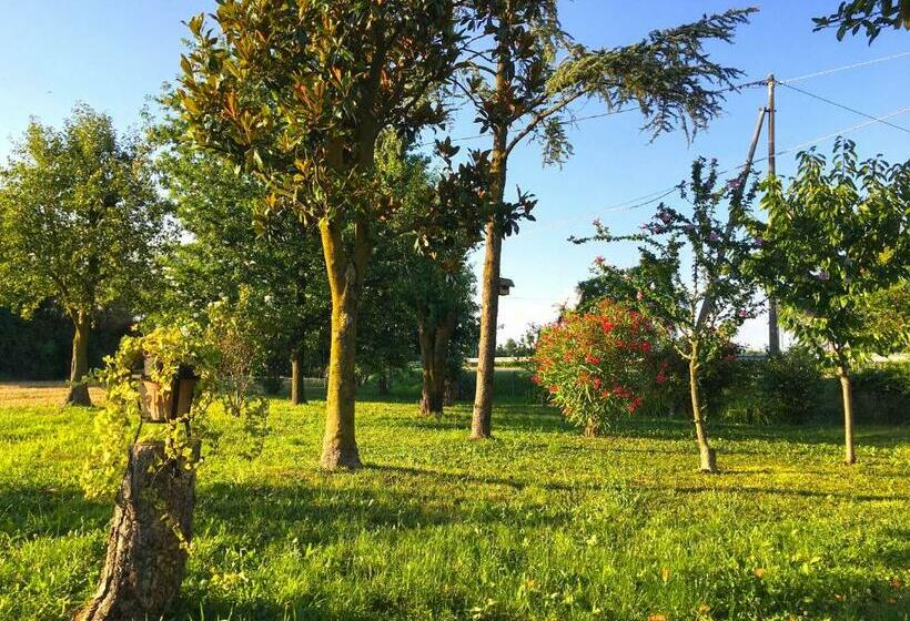 ペンション Ca  Rosin Meolo   Camera Tra Relax E Privacy