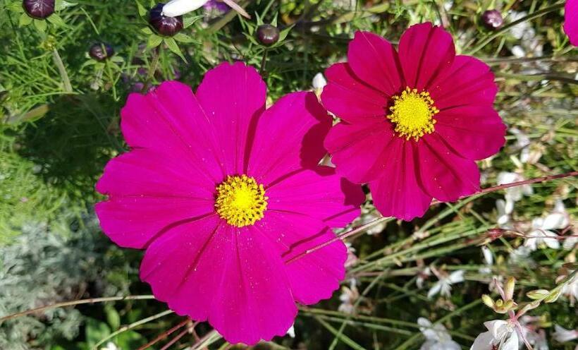 פנסיון Les Box Chambre D Hôtes