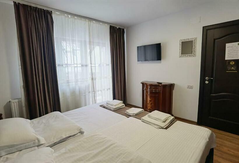 Pensiunea Boca Voronet