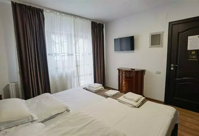 Pensiunea Boca Voronet