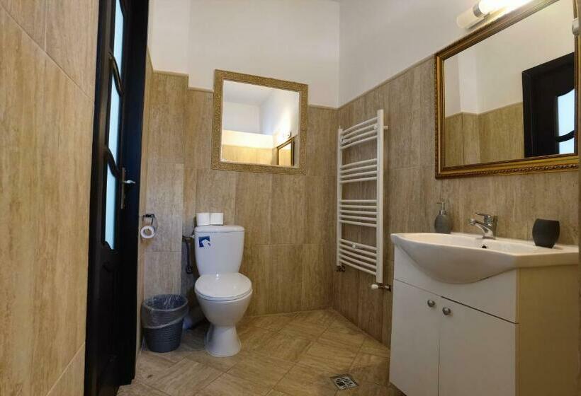 Pensiunea Boca Voronet