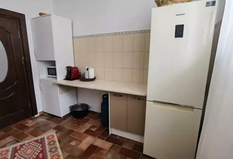 Pensiunea Boca Voronet