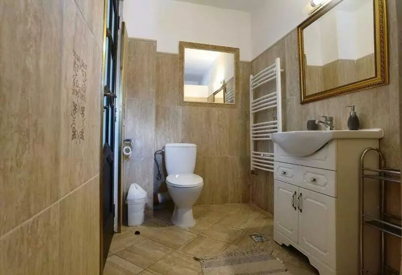 Pensiunea Boca Voronet