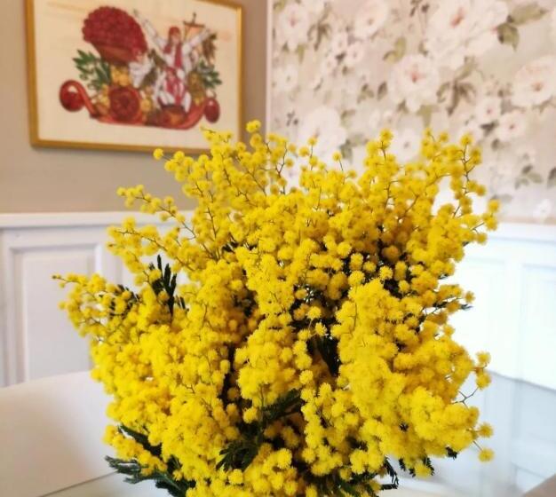 צימר Bed&breakfast Villa Camilla