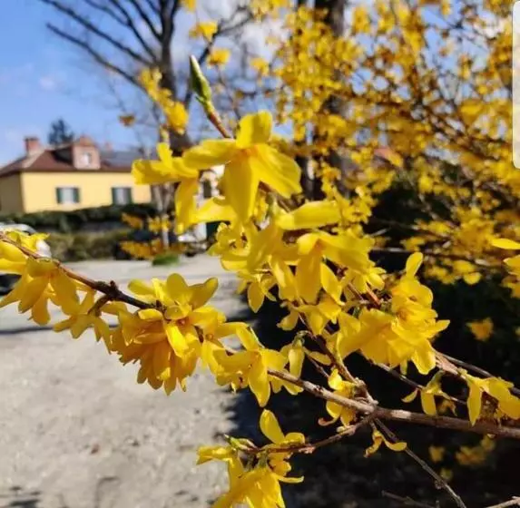 تختخواب و صبحانه Bed&breakfast Villa Camilla