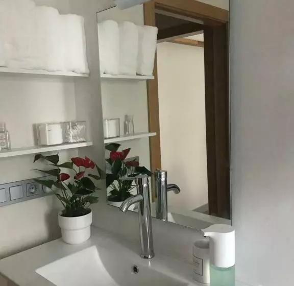 Aamiaismajoitus (B&B) Suites Mendibil Irun