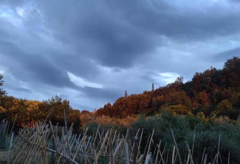 Resort Bouquet & Gourmet