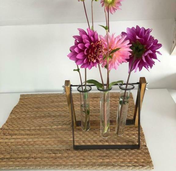 مبيت وإفطار Het Doktershuys