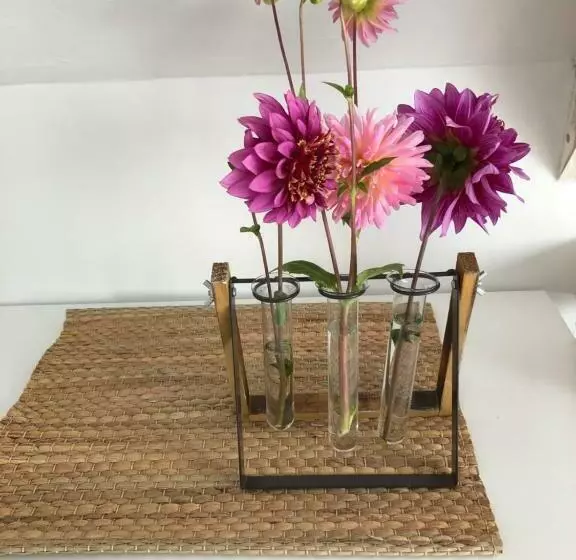 Aamiaismajoitus (B&B) Het Doktershuys