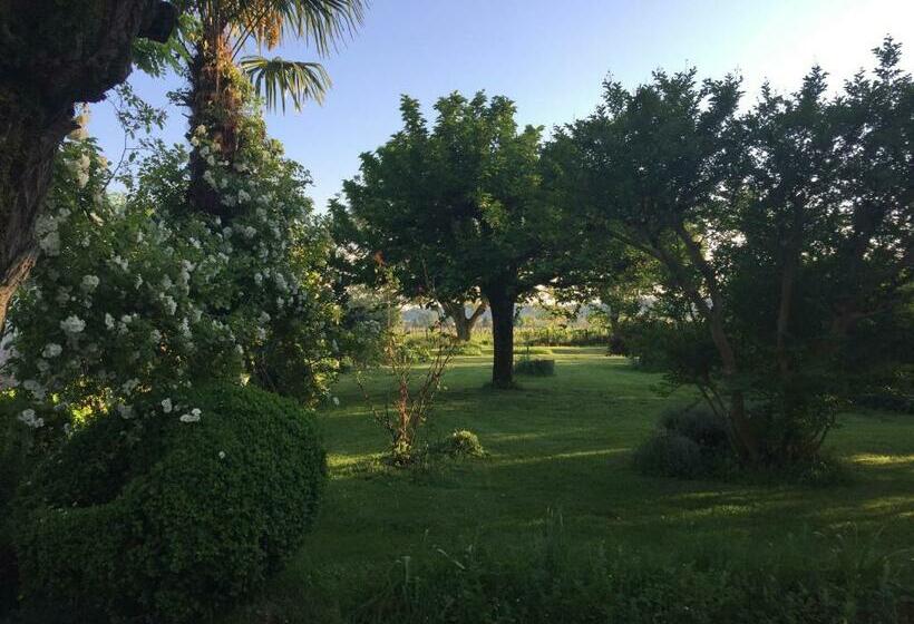 住宿加早餐  Damechouette