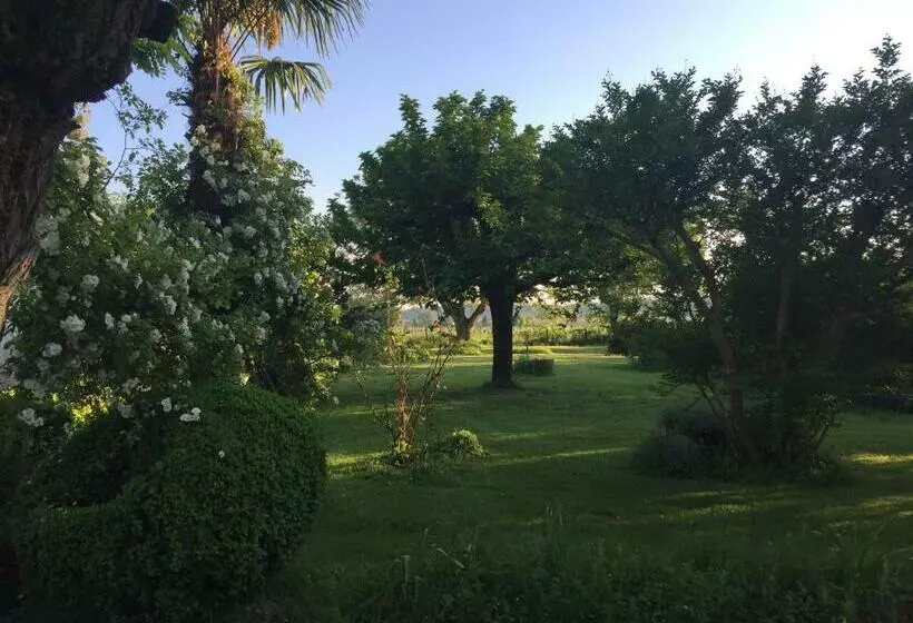 Aamiaismajoitus (B&B) Damechouette