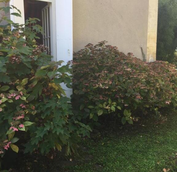 住宿加早餐  Damechouette