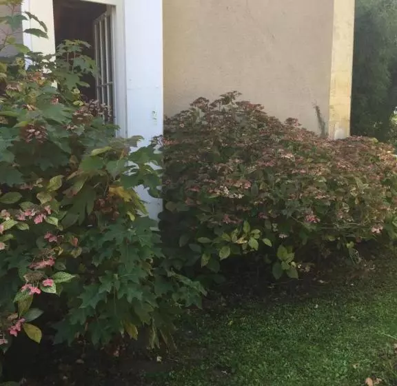 Aamiaismajoitus (B&B) Damechouette