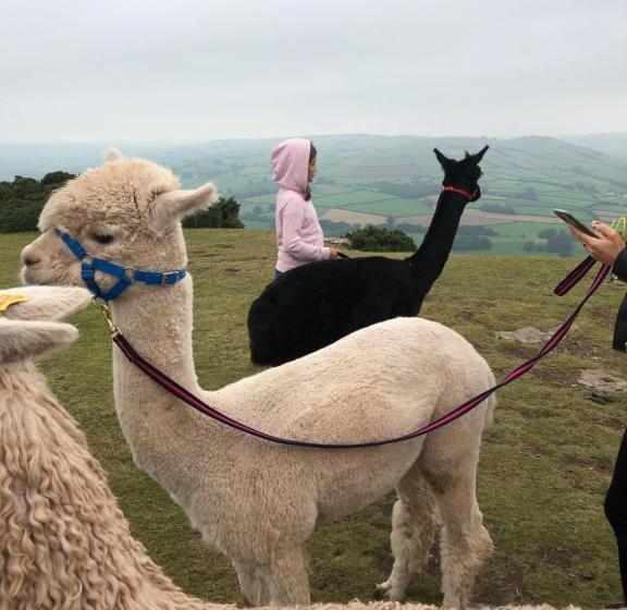 مبيت وإفطار Mount Street House